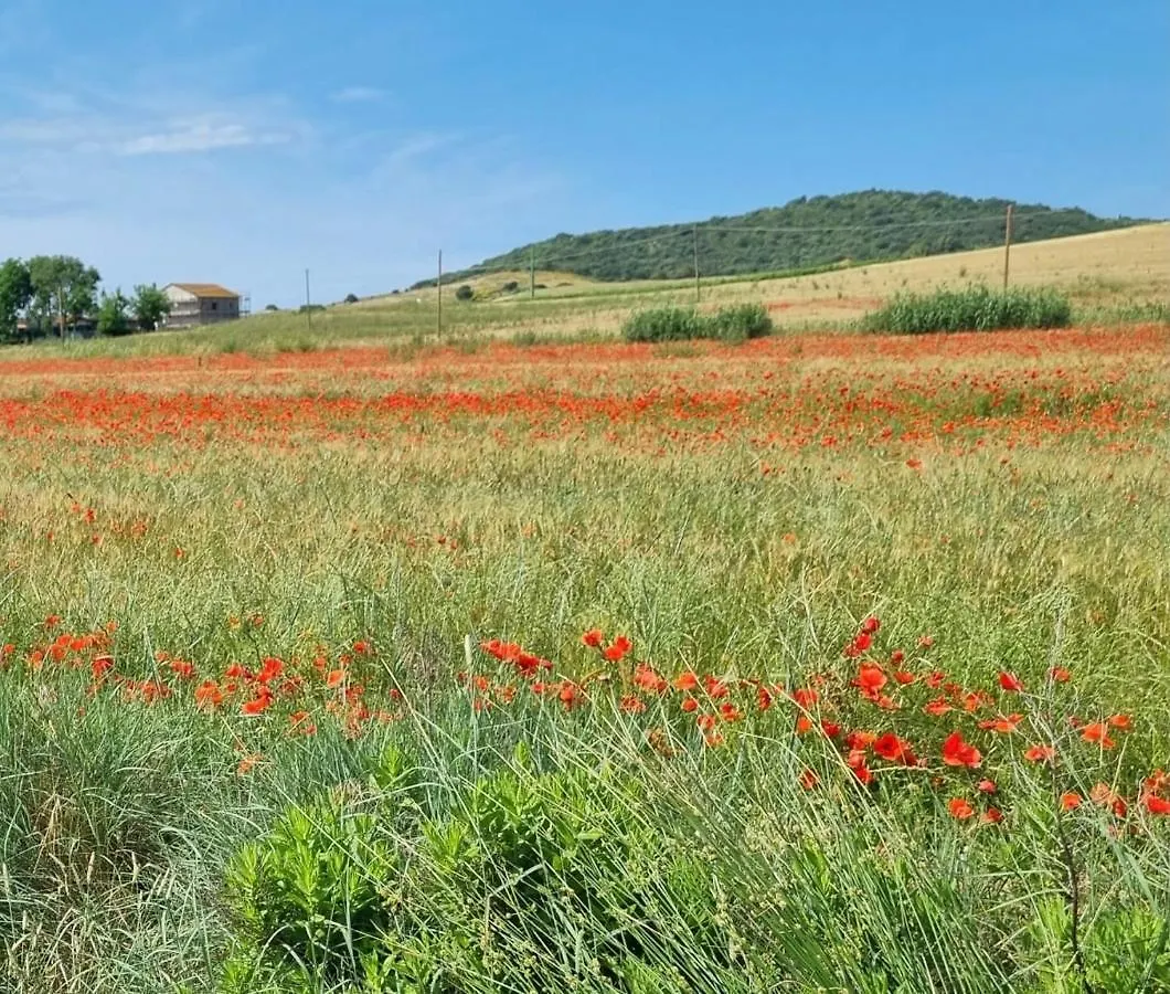 Casa Maira In Centro A Saturnia Villa Holiday home