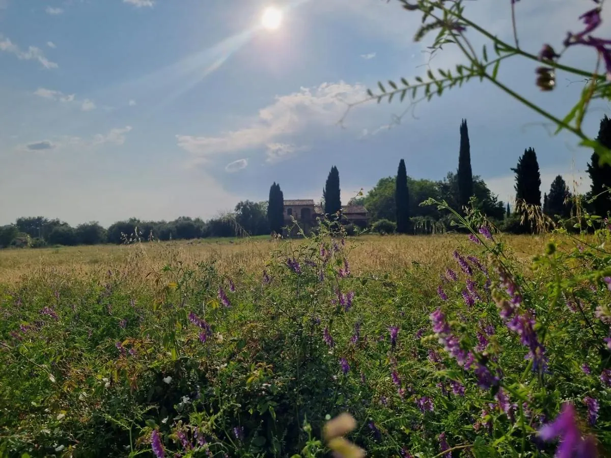 Casa Maira In Centro A Saturnia Villa Holiday home